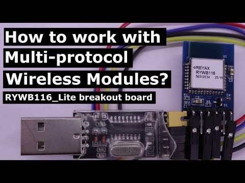 How to work with Multi-protocol Wireless Modules? (RYWB116_Lite, HTerm)